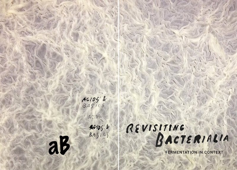 Revisiting Bacterialia