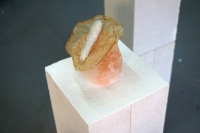 Soy skin and vegetables in borax