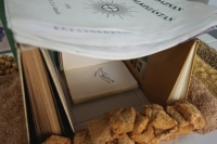 Detail from my sketchbook