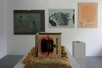 Hungarian Lifereform Movement Books