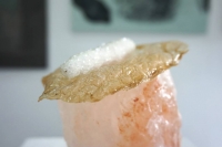 Soy skin and vegetables in borax