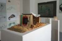 Hungarian Lifereform Movement Books