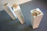 Soy skin and vegetables in borax