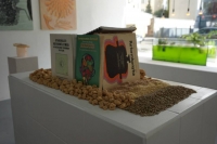 Hungarian Lifereform Movement Books