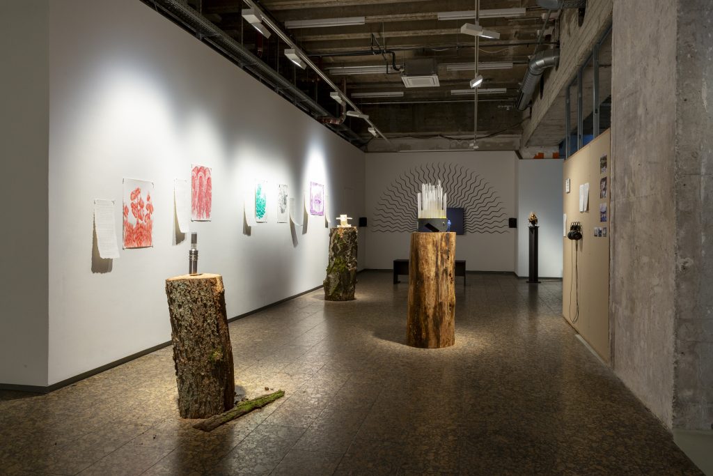 salt.clay.rock_high res-194