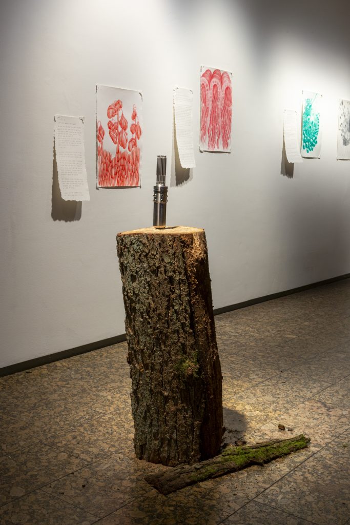 salt.clay.rock_high res-197