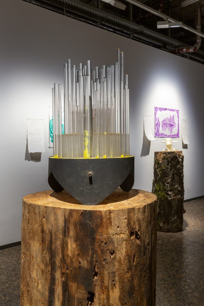 salt.clay.rock_high res-198