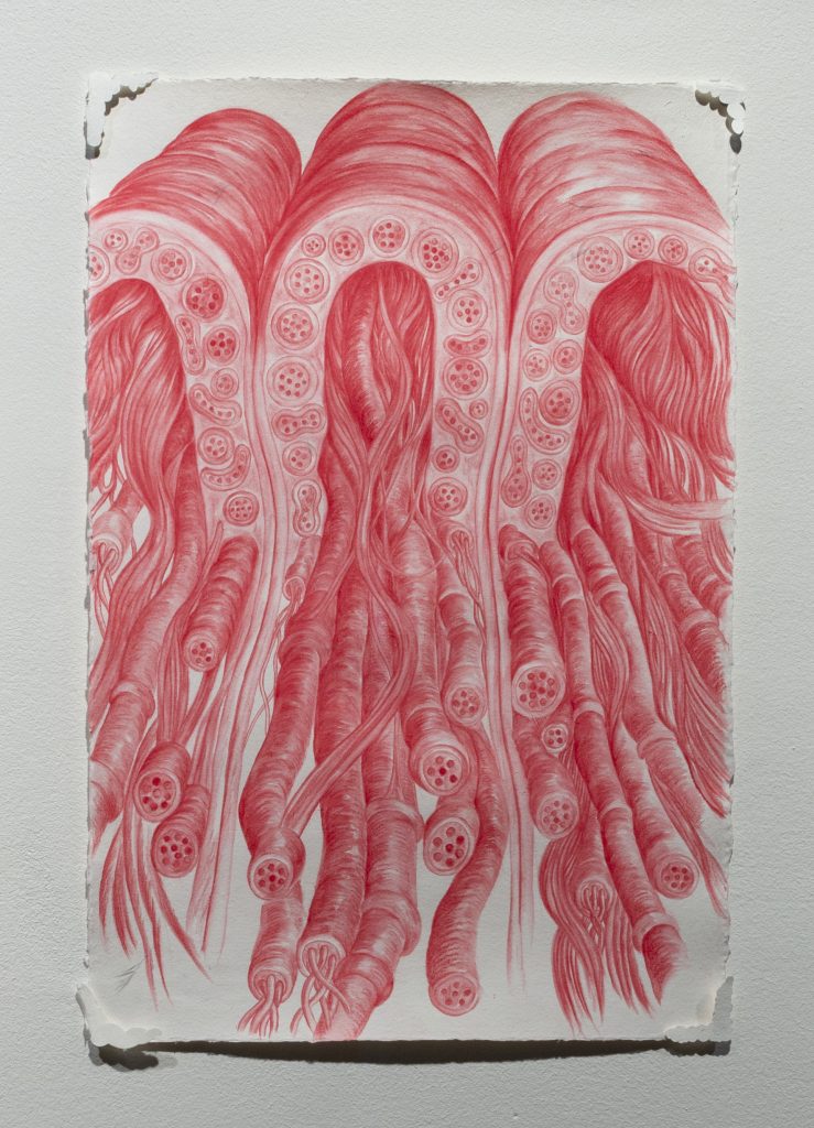 salt.clay.rock_high res-237