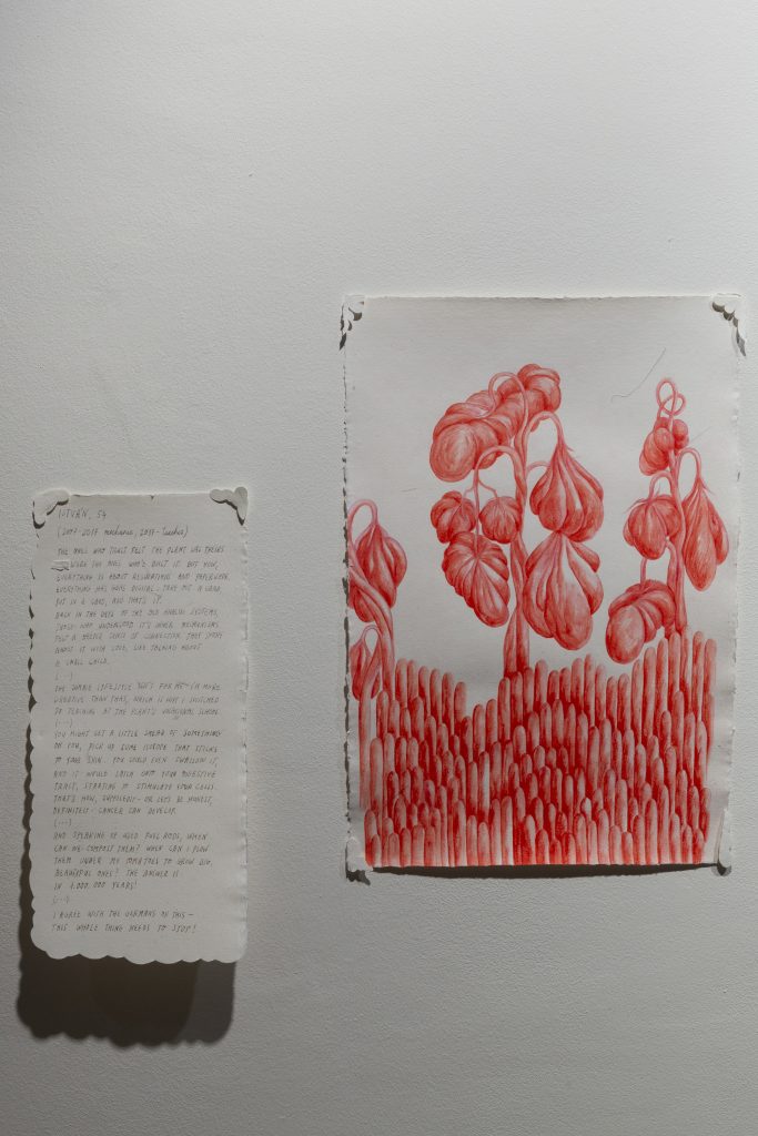 salt.clay.rock_high res-238