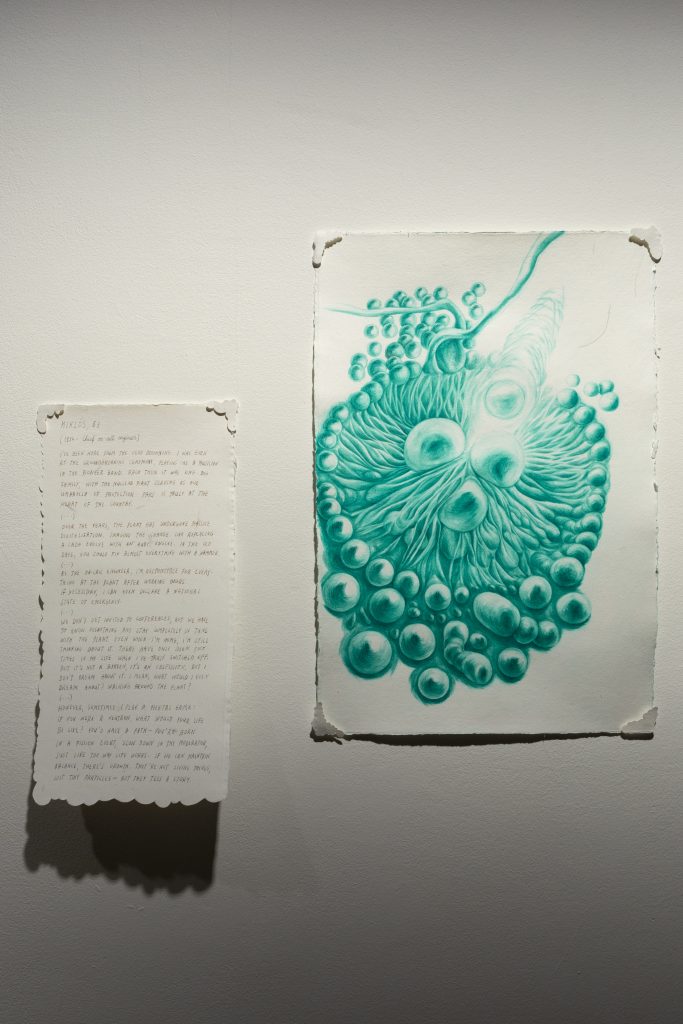 salt.clay.rock_high res-239