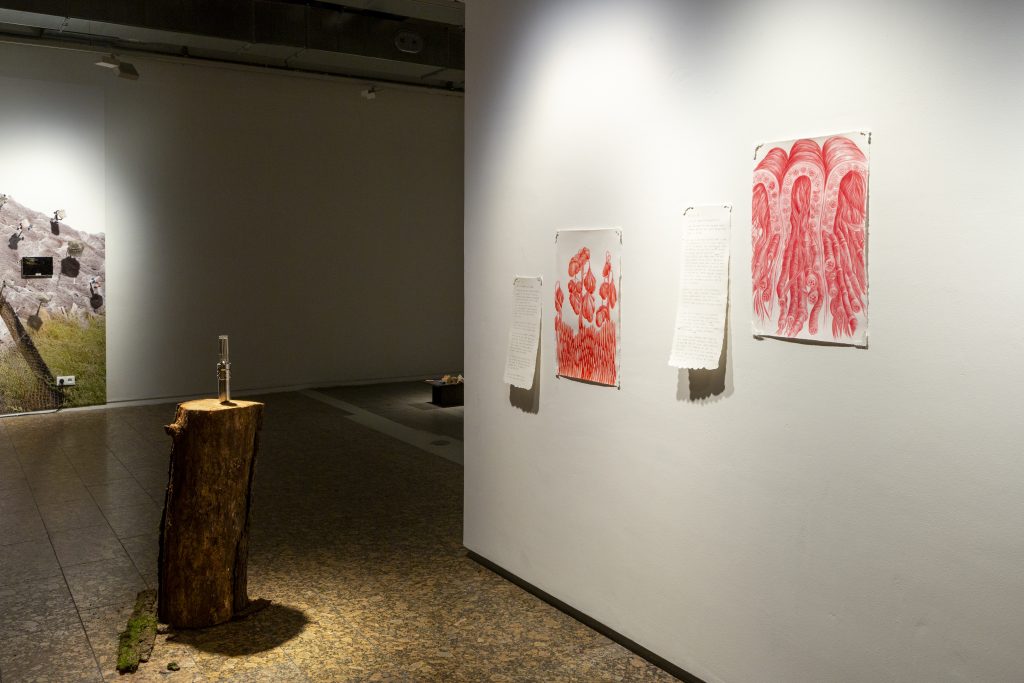 salt.clay.rock_high res-246